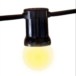 Edm Guirnalda 10 Bombillas 10 M One Size Black / Clear