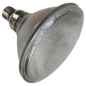 Philips Bombilla Infrarojos Par 38 E27 175w One Size Silver / Clear