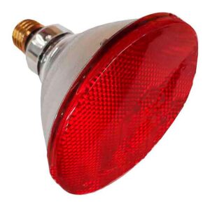 Philips Bombilla Infrarojos Par 38 E27 175w One Size Silver / Red