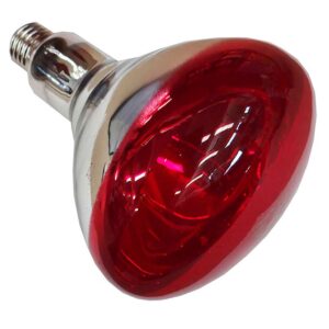 Philips Bombilla Infrarojos Par 38 E27 250w One Size Silver / Red