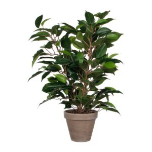 Mica Decorations Planta Artificial Ficus Natsja One Size Green