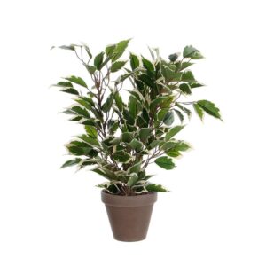 Mica Decorations Planta Artificial Jaspeado Ficus Natsja One Size Green