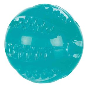 Trixie Pelota Denta Fun Ø 6 Cm One Size Turquoise