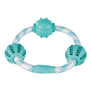 Trixie Aro Cuerda Pelotas Denta Fun Ø20 Cm One Size Turquoise