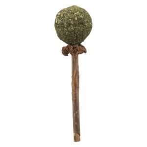 Trixie Piruleta Catnip Matatabi 11 Cm One Size Brown / Green