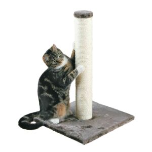 Trixie Poste Rascador Parla 62 Cm One Size Grey