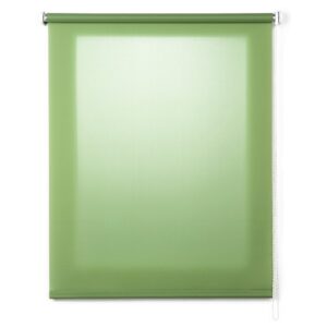 Stor Planet Estor Enrollable Translúcido Roll-up 160x180 Cm One Size Grass