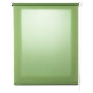 Stor Planet Estor Enrollable Translúcido Roll-up 180x250 Cm One Size Grass