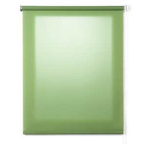 Stor Planet Estor Enrollable Translúcido Roll-up 60x180 Cm One Size Grass
