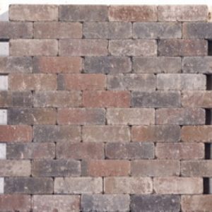 Adoquines ajustados 20x5x6cm (precio por m2)