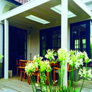 Porche jardin Douglas