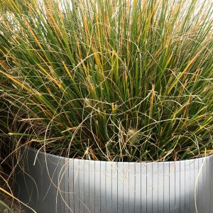Borduras jardin acero galvanizado 240x15cm